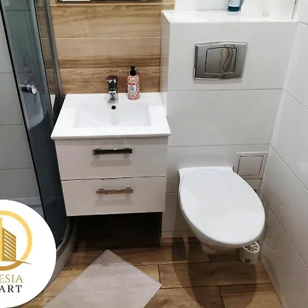 Apartment Ceglany *