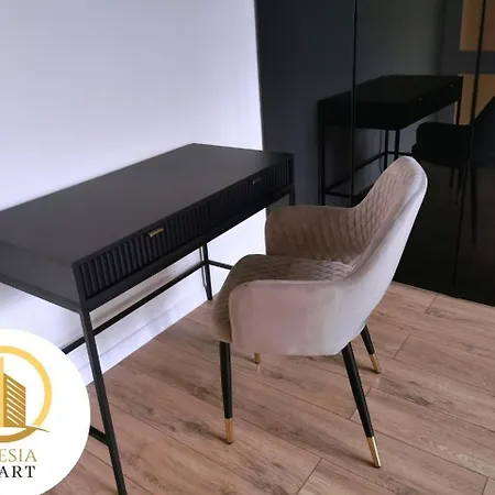 Ceglany Apartment *