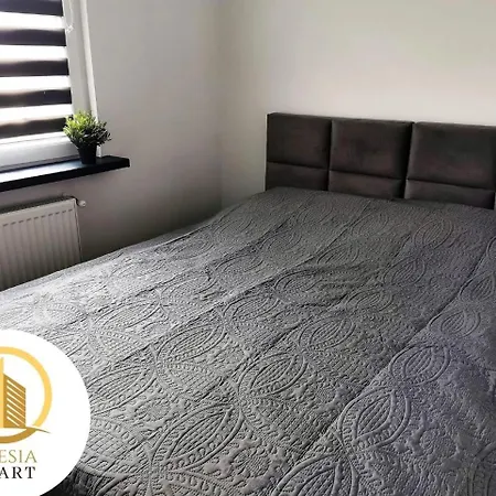 Apartment Ceglany *